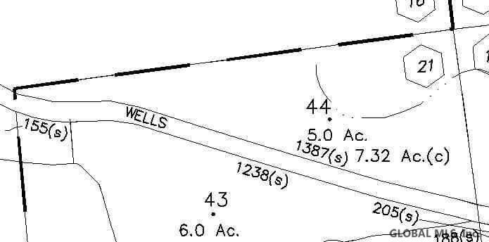 Wells Hill Road Lewis, NY 12950 - Photo 3 of 7 Photo 3