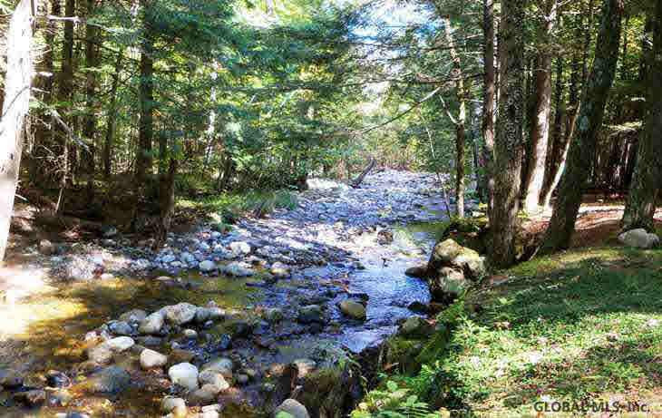 Wells Hill Road Lewis, NY 12950 - Photo 7 of 7 Photo 8