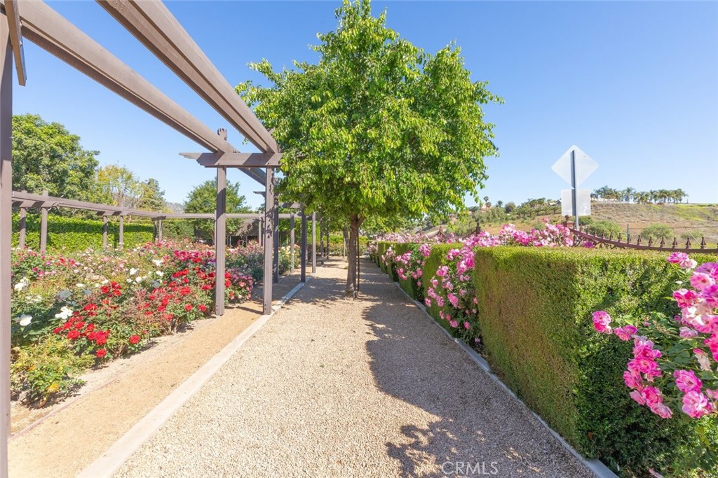 23965 Lawson Road Corona, CA 92883 - Photo 50 of 74