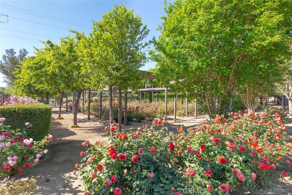 23965 Lawson Road Corona, CA 92883 - Photo 51 of 74 a garden view with flowers and trees