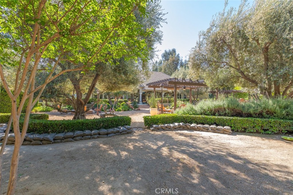 23965 Lawson Road Corona, CA 92883 - Photo 61 of 74 a view of a park with large trees