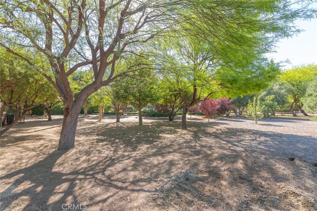 23965 Lawson Road Corona, CA 92883 - Photo 62 of 74 a view of a tree in the middle of a yard