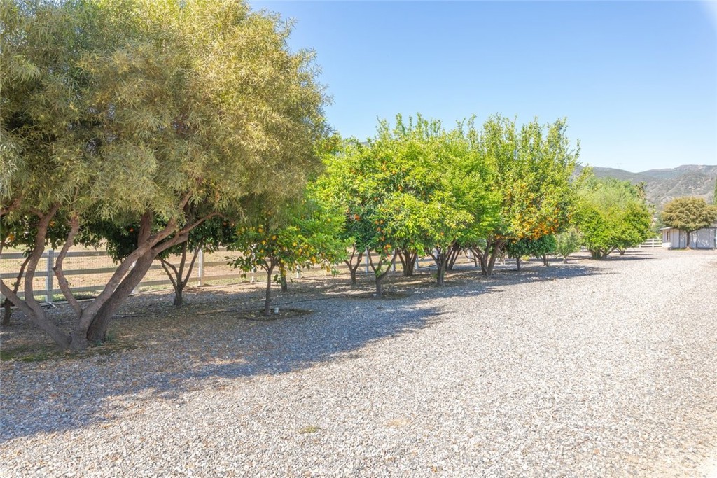 23965 Lawson Road Corona, CA 92883 - Photo 64 of 74 a view of a tree in front of a house