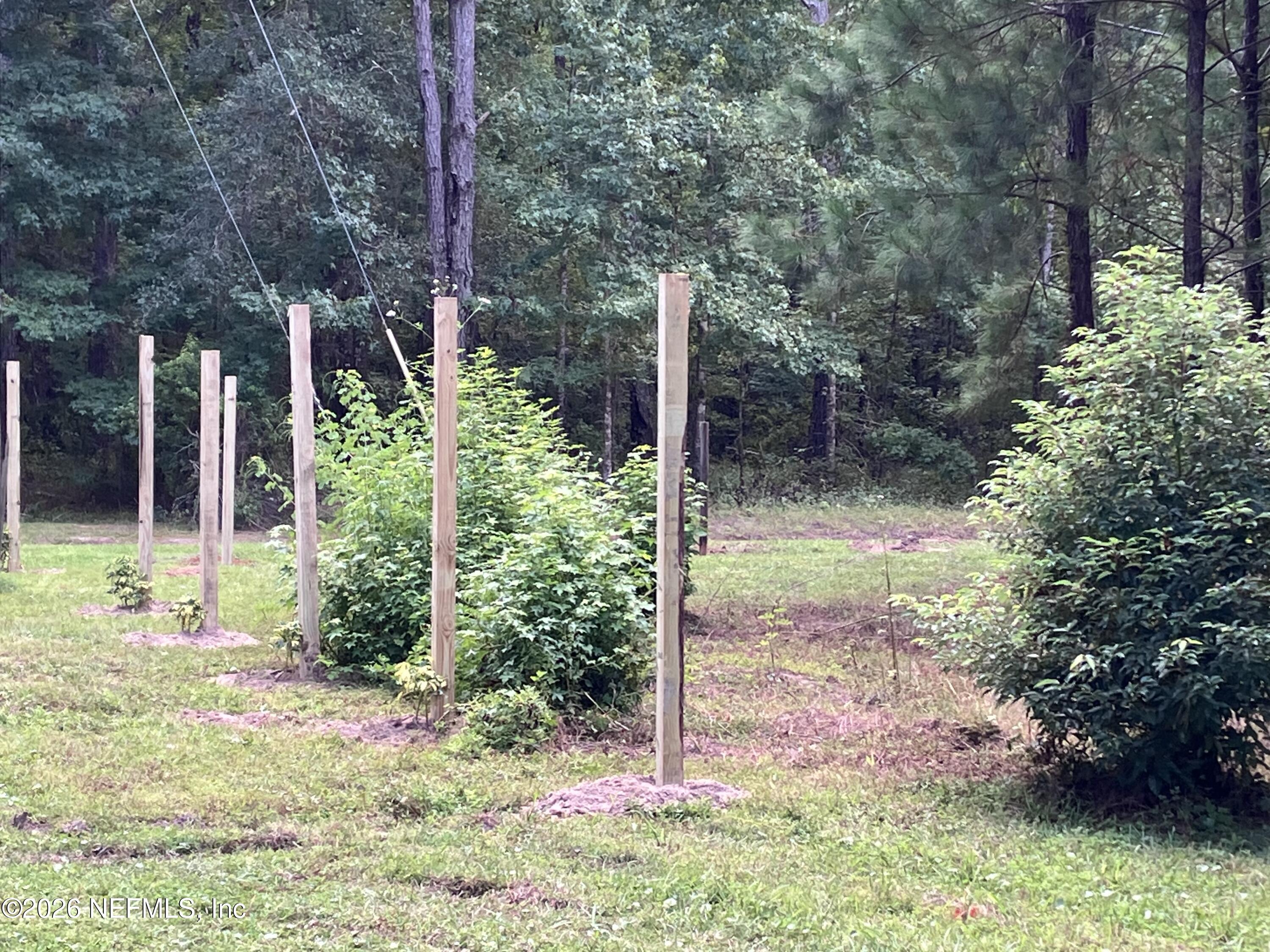 3923 Skipper Road Middleburg, FL 32068 - Photo 21 of 25 a backyard of a house with lots of green space