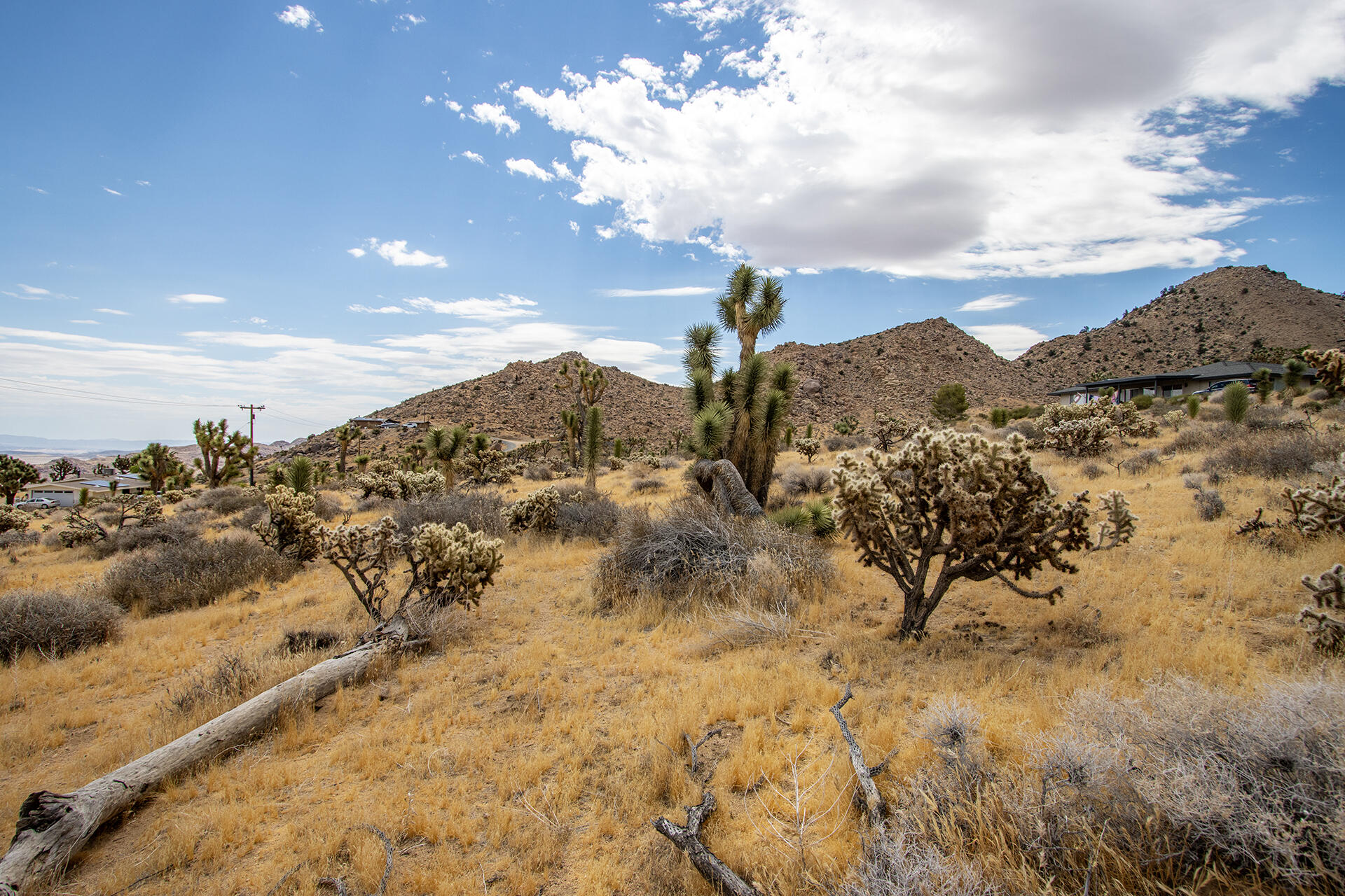 8021 Wesley Road Joshua Tree, CA 92252 - Photo 16 of 25 IMG_1900