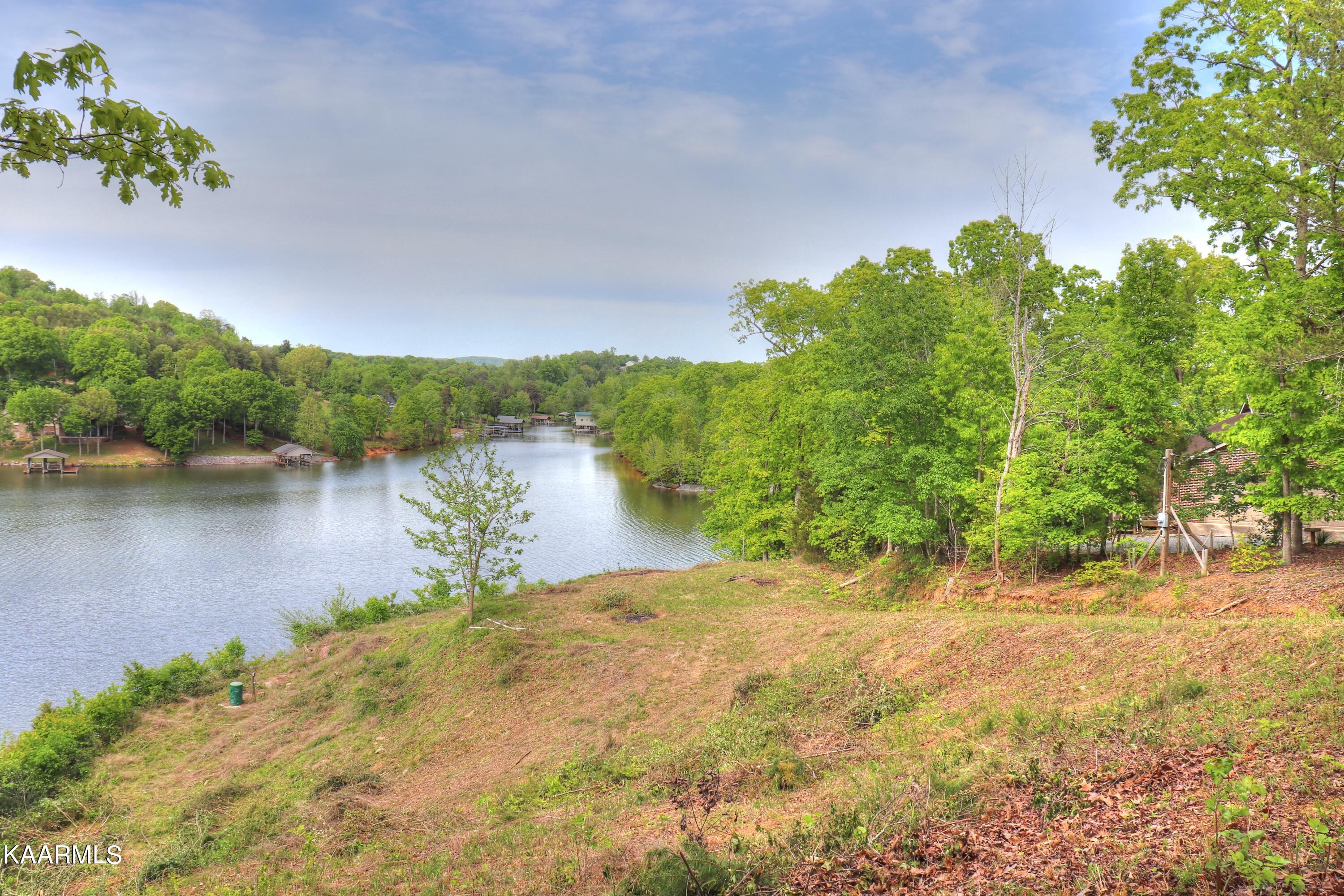 Lot 3 Nancy Point Spring Spring City, TN 37381 - Photo 11 of 25 Cut in driveway to the right