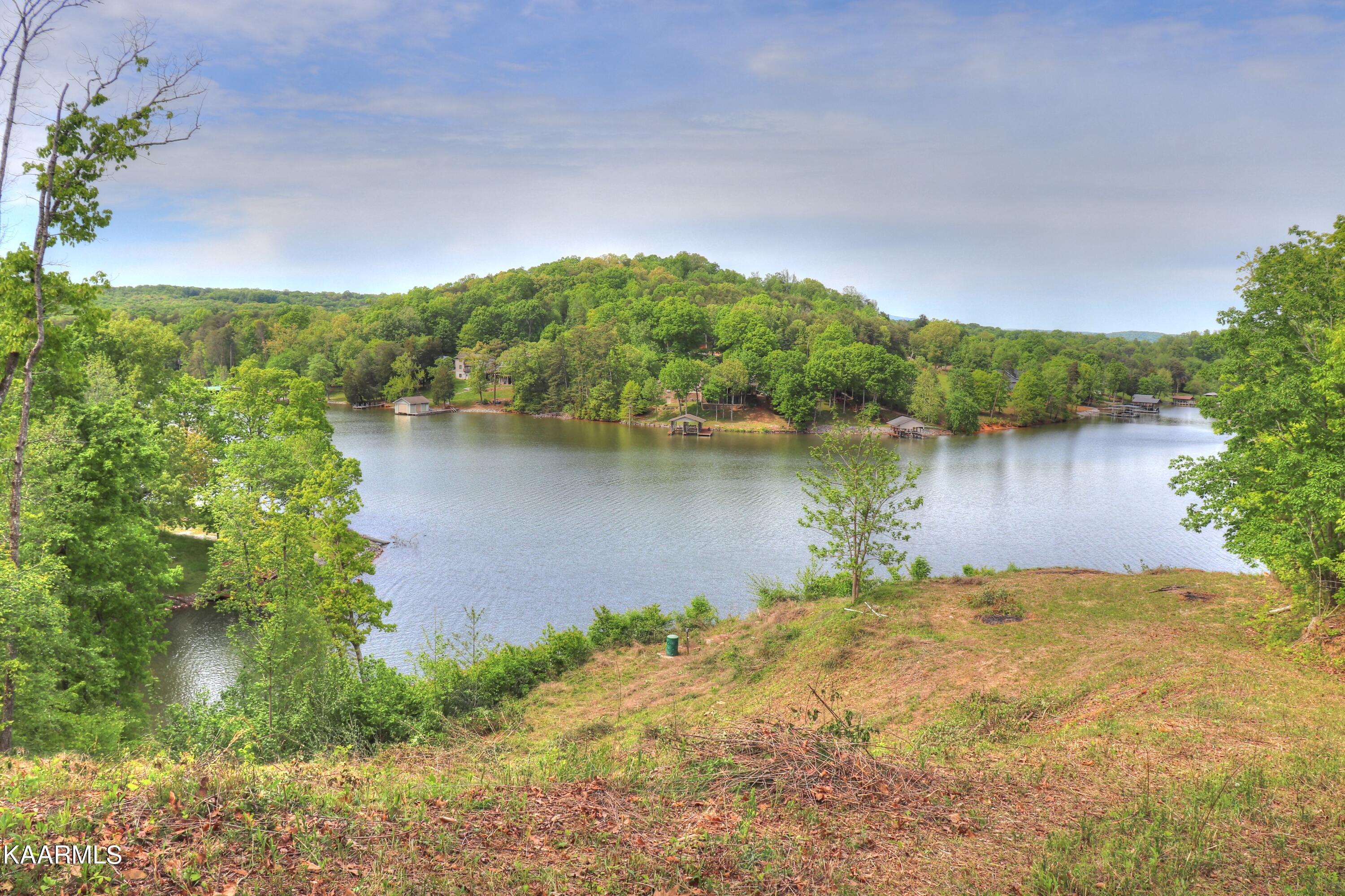 Lot 3 Nancy Point Spring Spring City, TN 37381 - Photo 12 of 25 Lot 3 Nancy Point