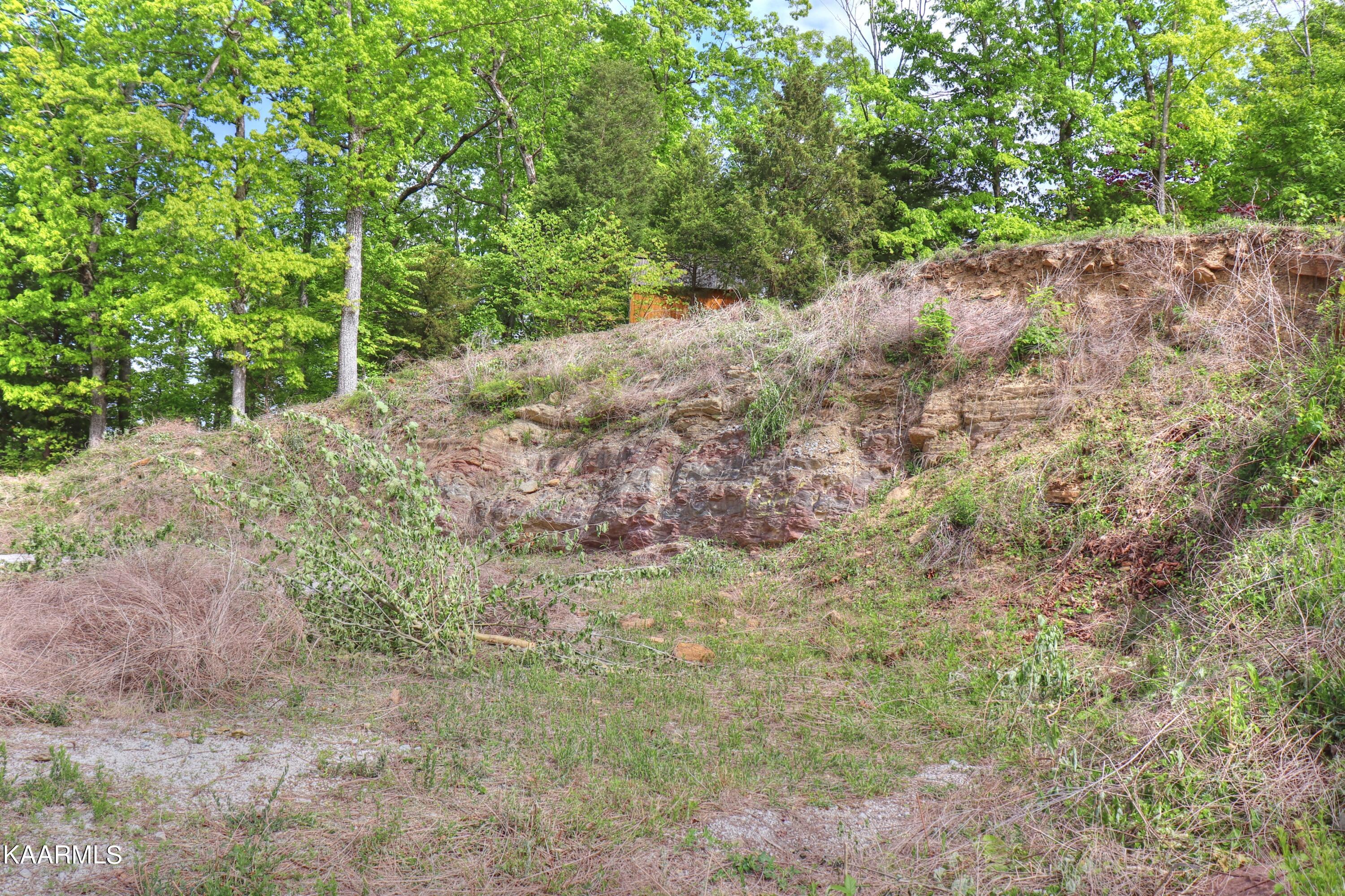 Lot 3 Nancy Point Spring Spring City, TN 37381 - Photo 14 of 25 Building site is already cut in