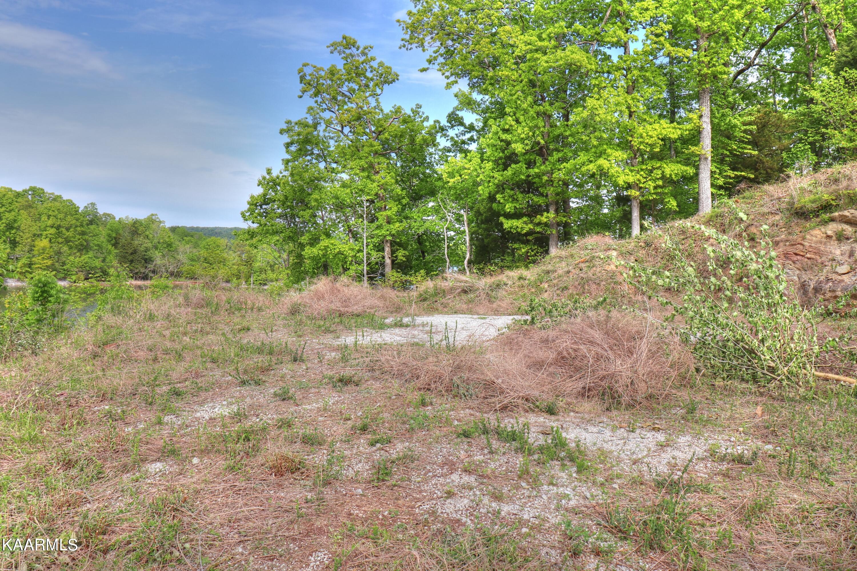Lot 3 Nancy Point Spring Spring City, TN 37381 - Photo 15 of 25 Building site