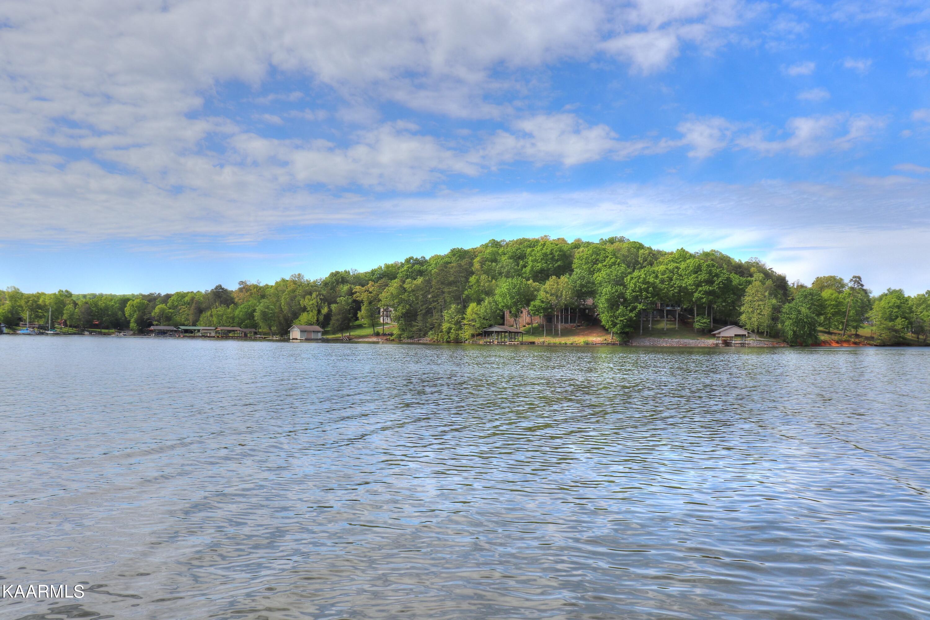 Lot 3 Nancy Point Spring Spring City, TN 37381 - Photo 18 of 25 View straight ahead
