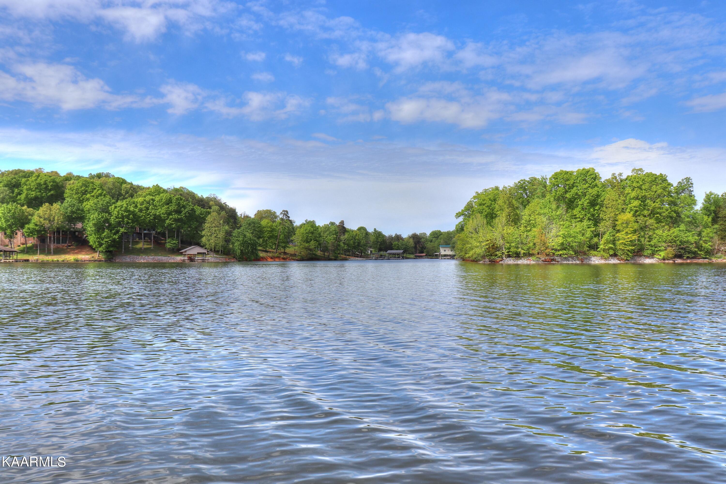 Lot 3 Nancy Point Spring Spring City, TN 37381 - Photo 19 of 25 View to the right