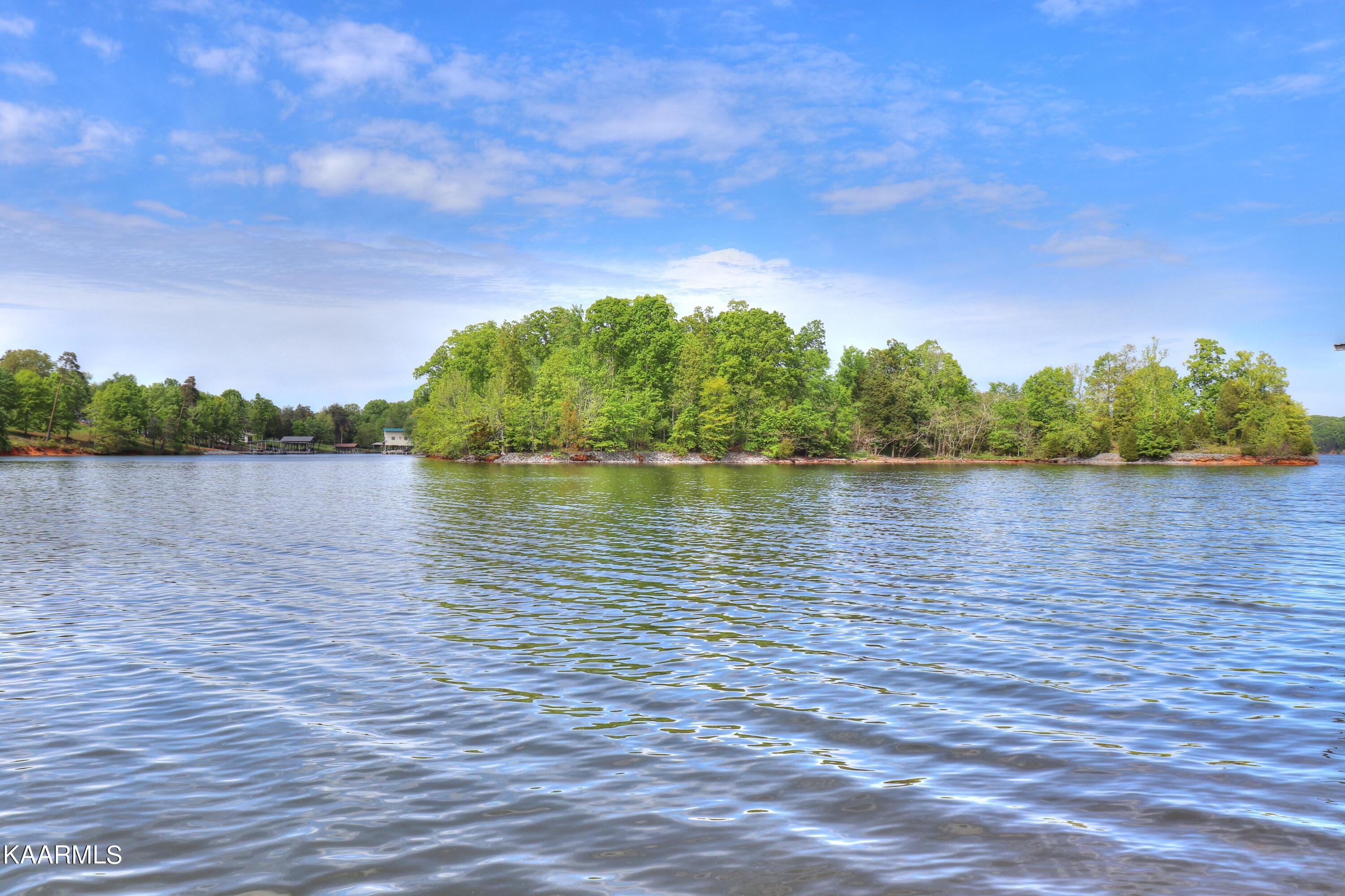 Lot 3 Nancy Point Spring Spring City, TN 37381 - Photo 20 of 25 View to the right