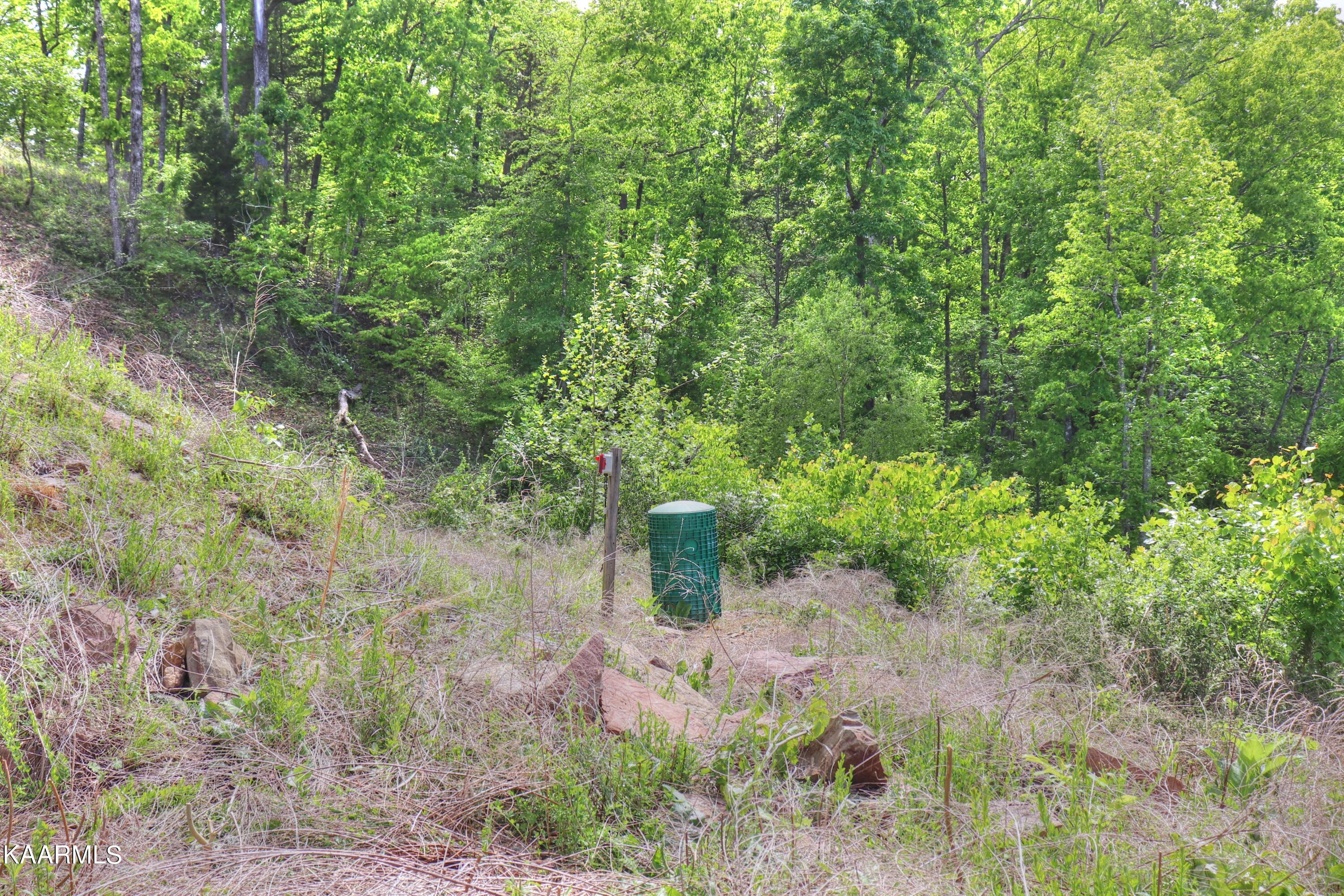 Lot 3 Nancy Point Spring Spring City, TN 37381 - Photo 23 of 25 Septic system installed