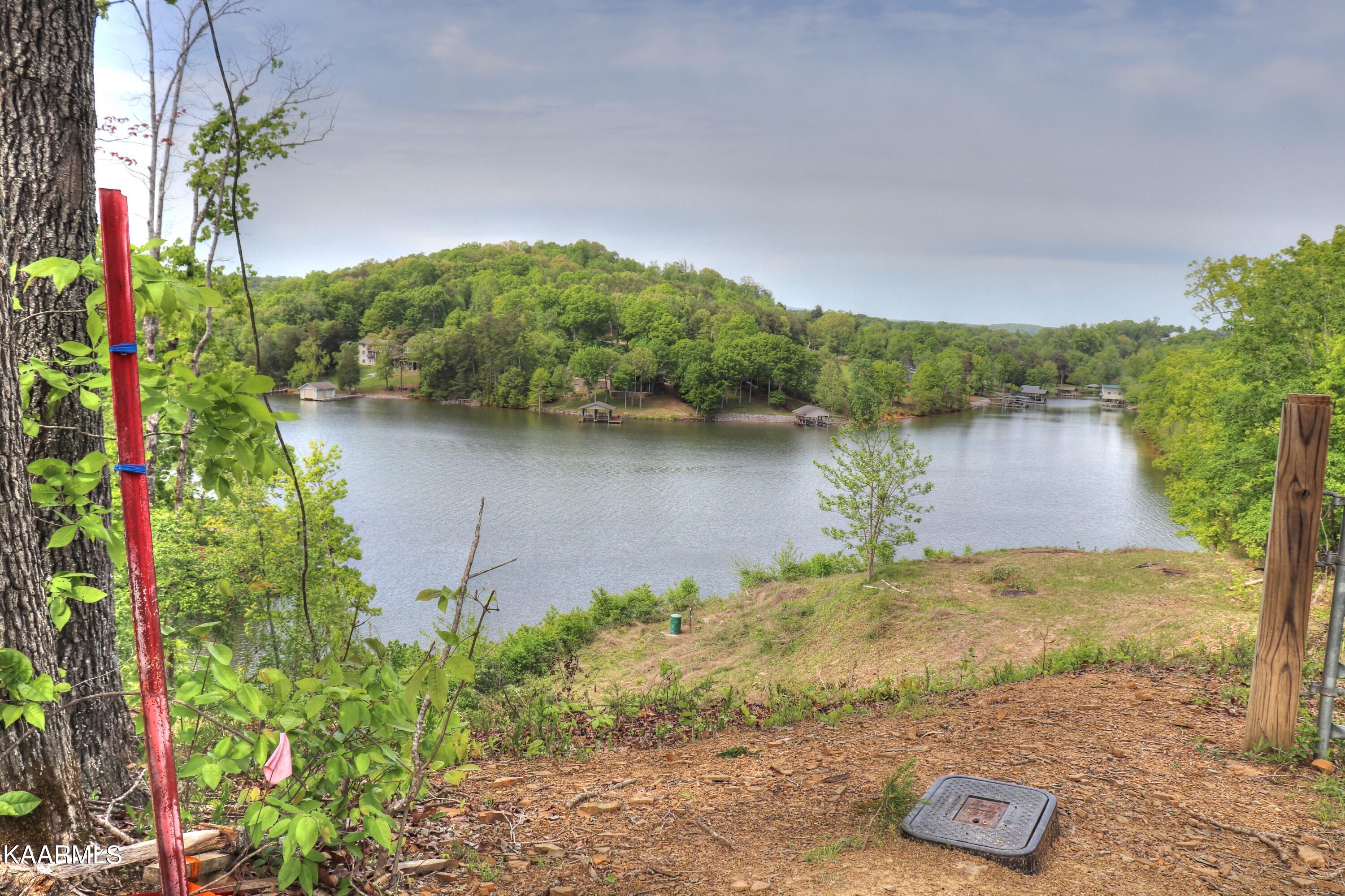Lot 3 Nancy Point Spring Spring City, TN 37381 - Photo 3 of 25 Public water