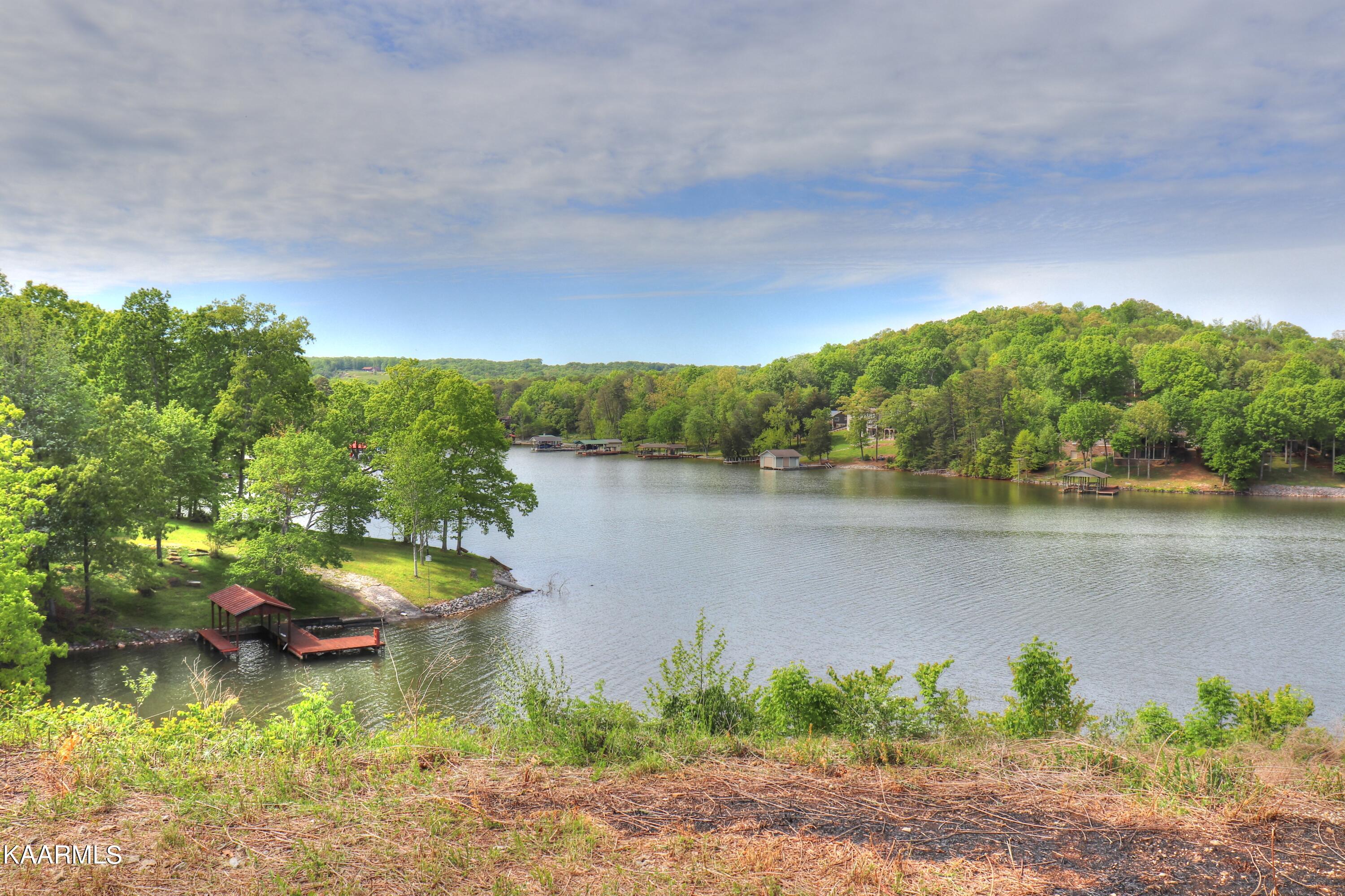 Lot 3 Nancy Point Spring Spring City, TN 37381 - Photo 7 of 25 Midway down the lot looking left