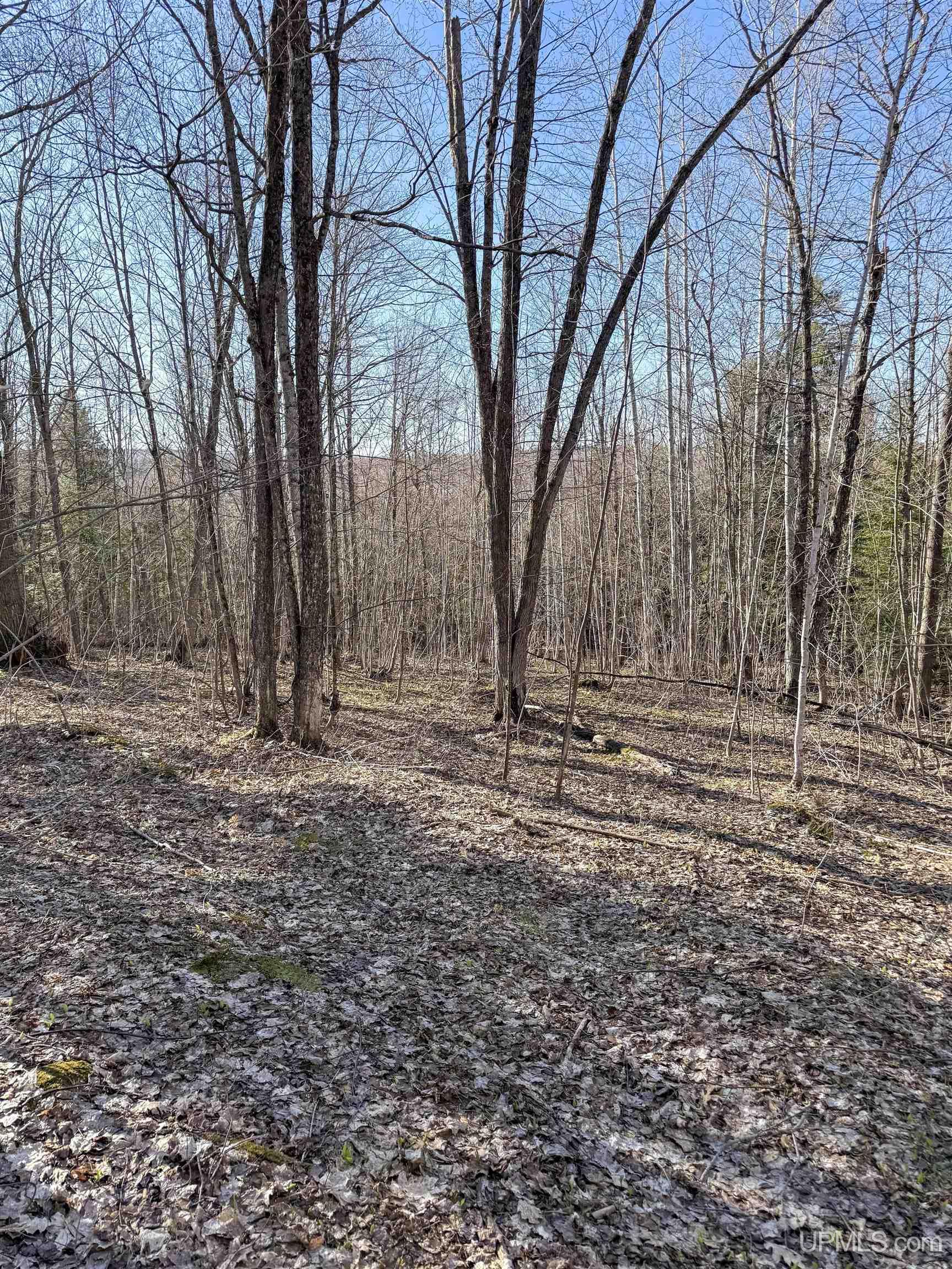 Tbd Ridgecrest Drive Dollar Bay, MI 49922 - Photo 33 of 37