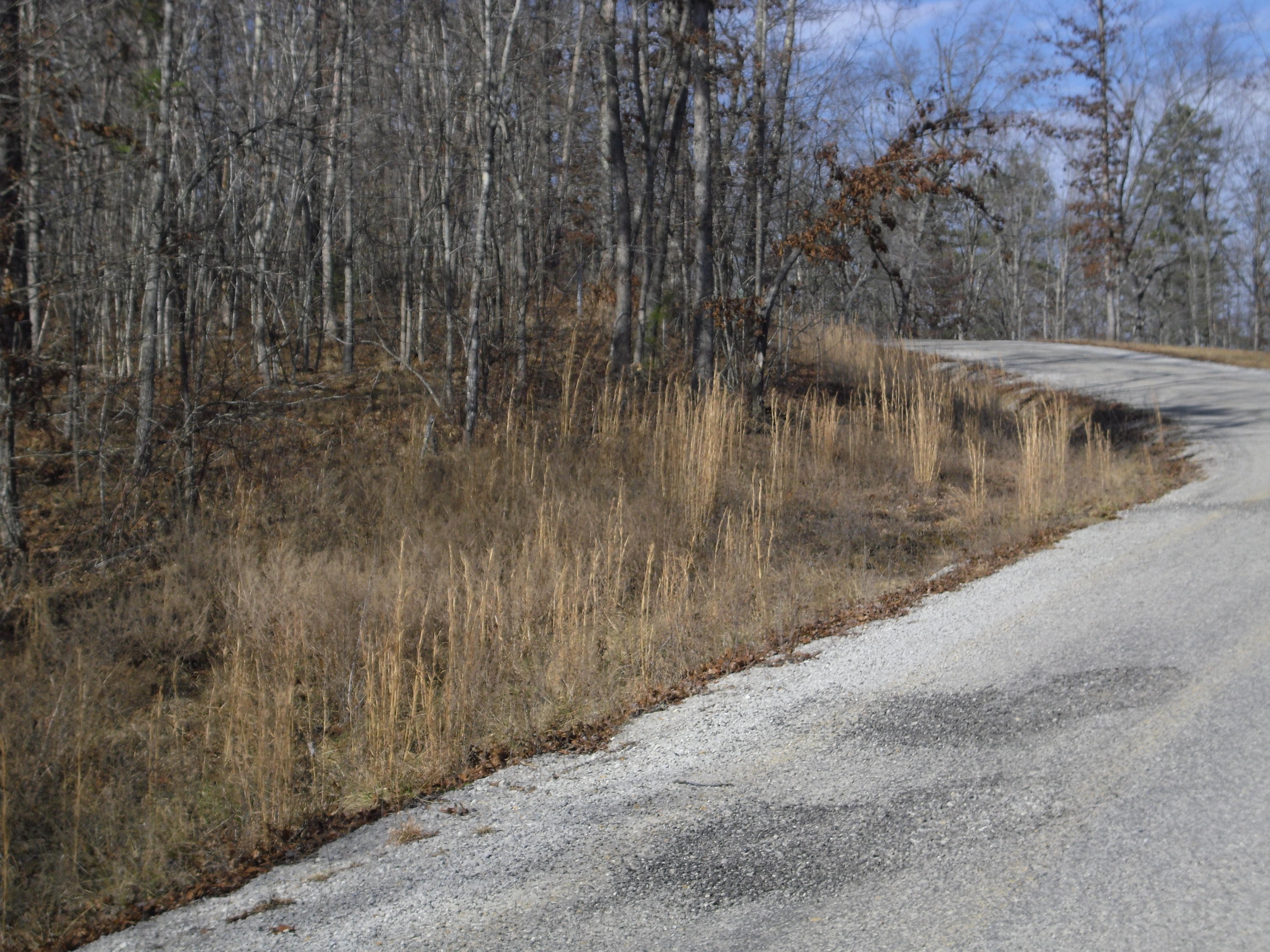 Bluebird Ridge Road Road Jamestown, TN 38556 - Photo 1 of 5 SAM_1784