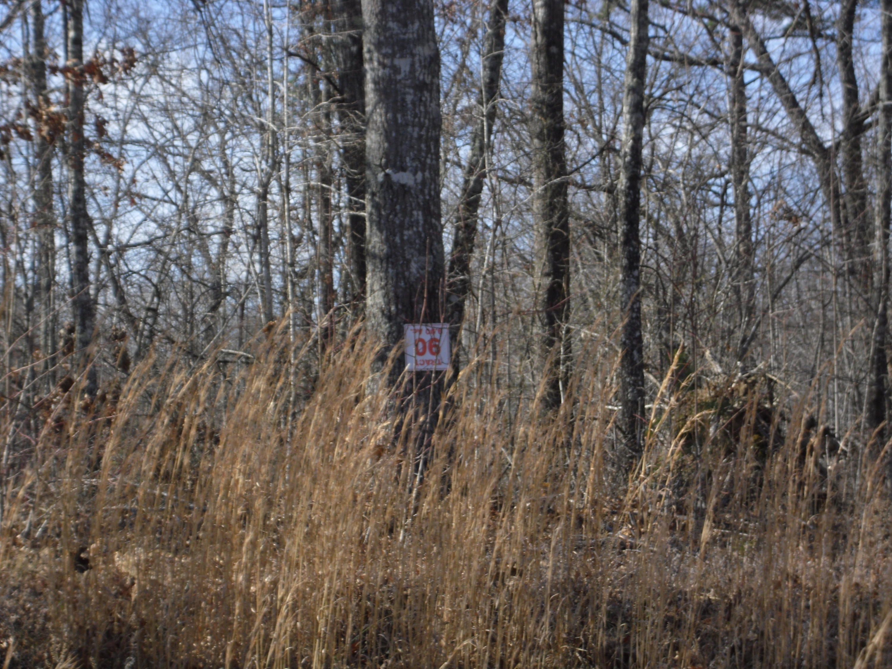 Bluebird Ridge Road Road Jamestown, TN 38556 - Photo 2 of 5 SAM_1785