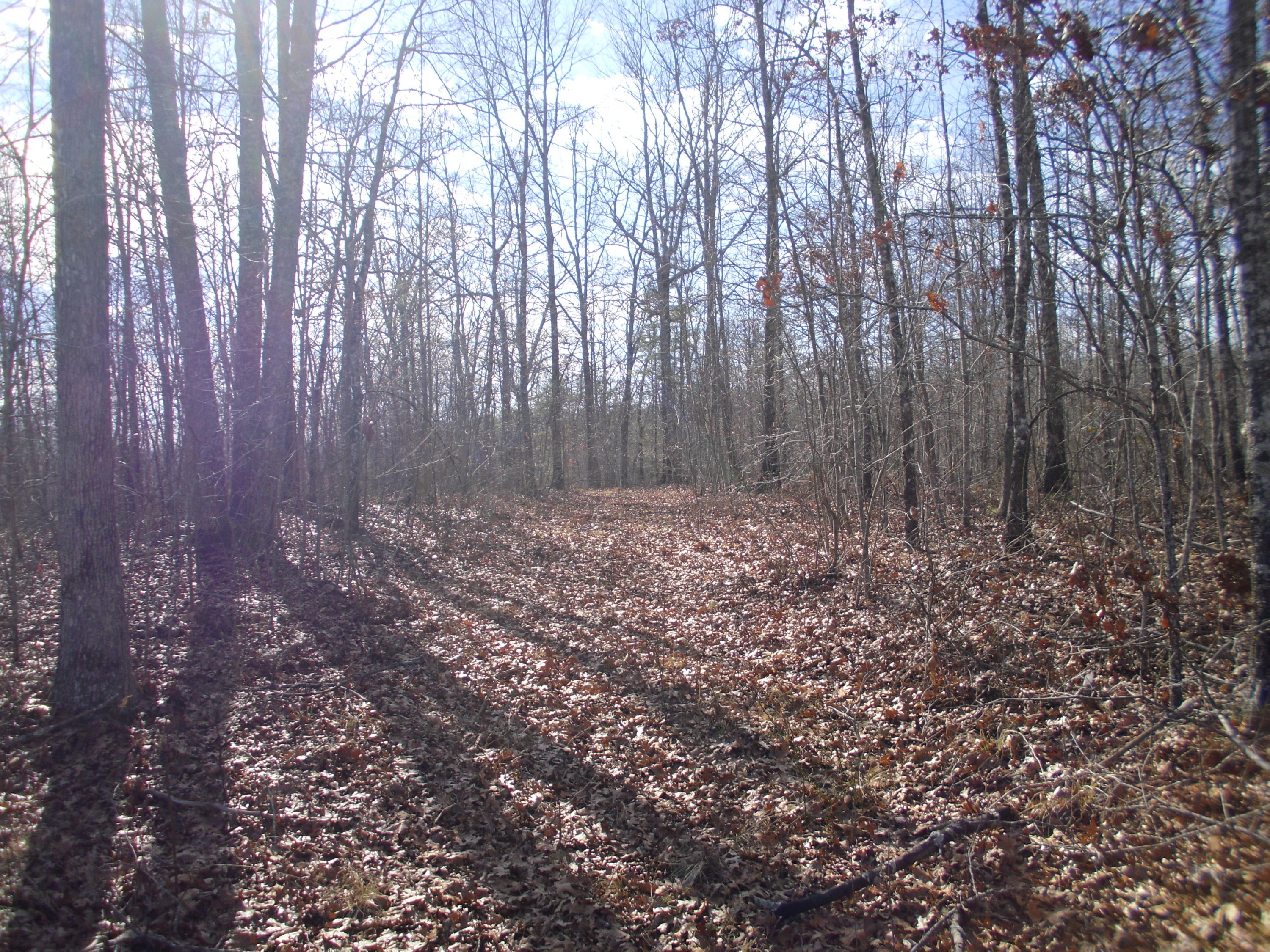 Bluebird Ridge Road Road Jamestown, TN 38556 - Photo 3 of 5 SAM_1786