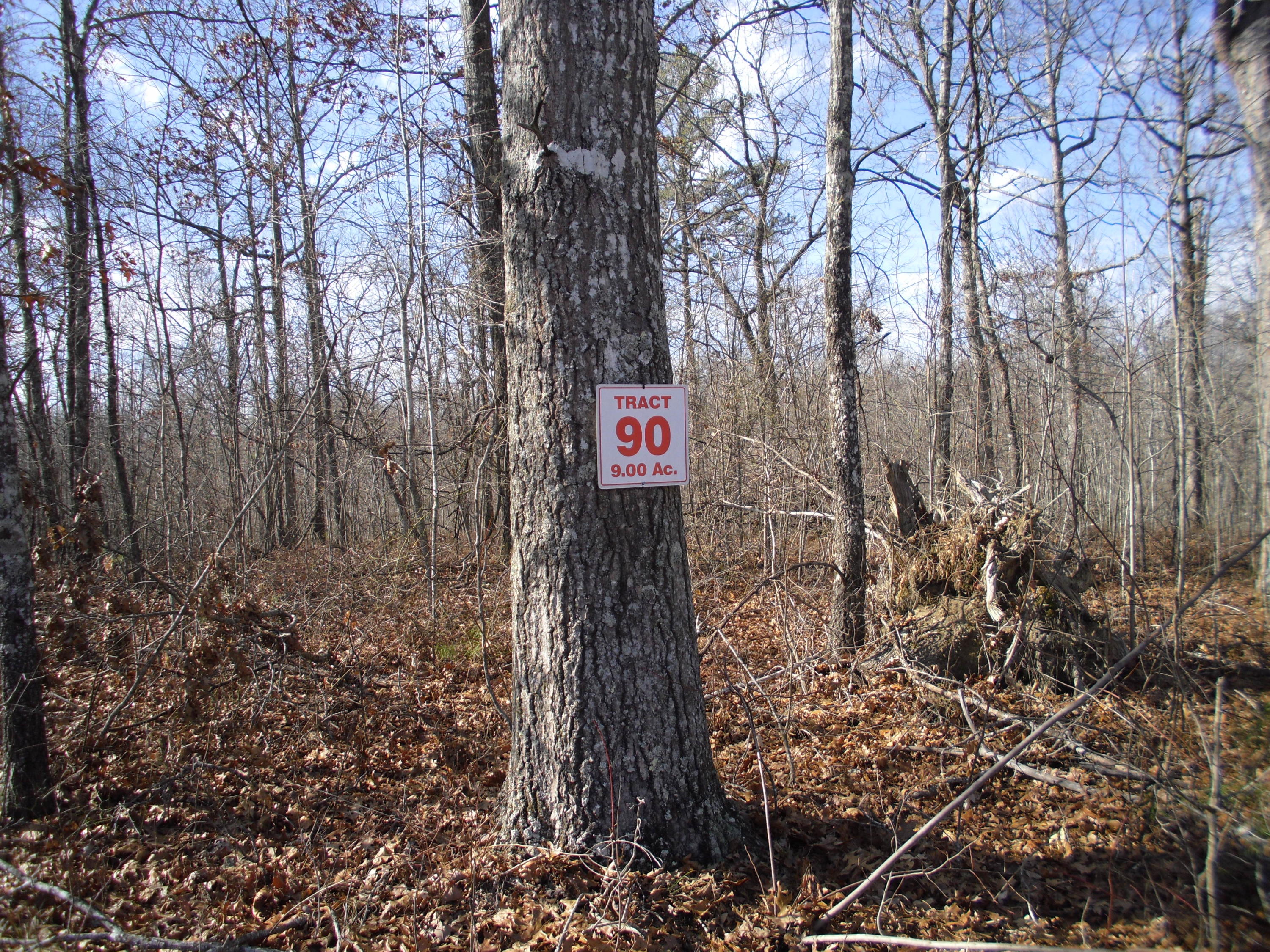 Bluebird Ridge Road Road Jamestown, TN 38556 - Photo 4 of 5 SAM_1787