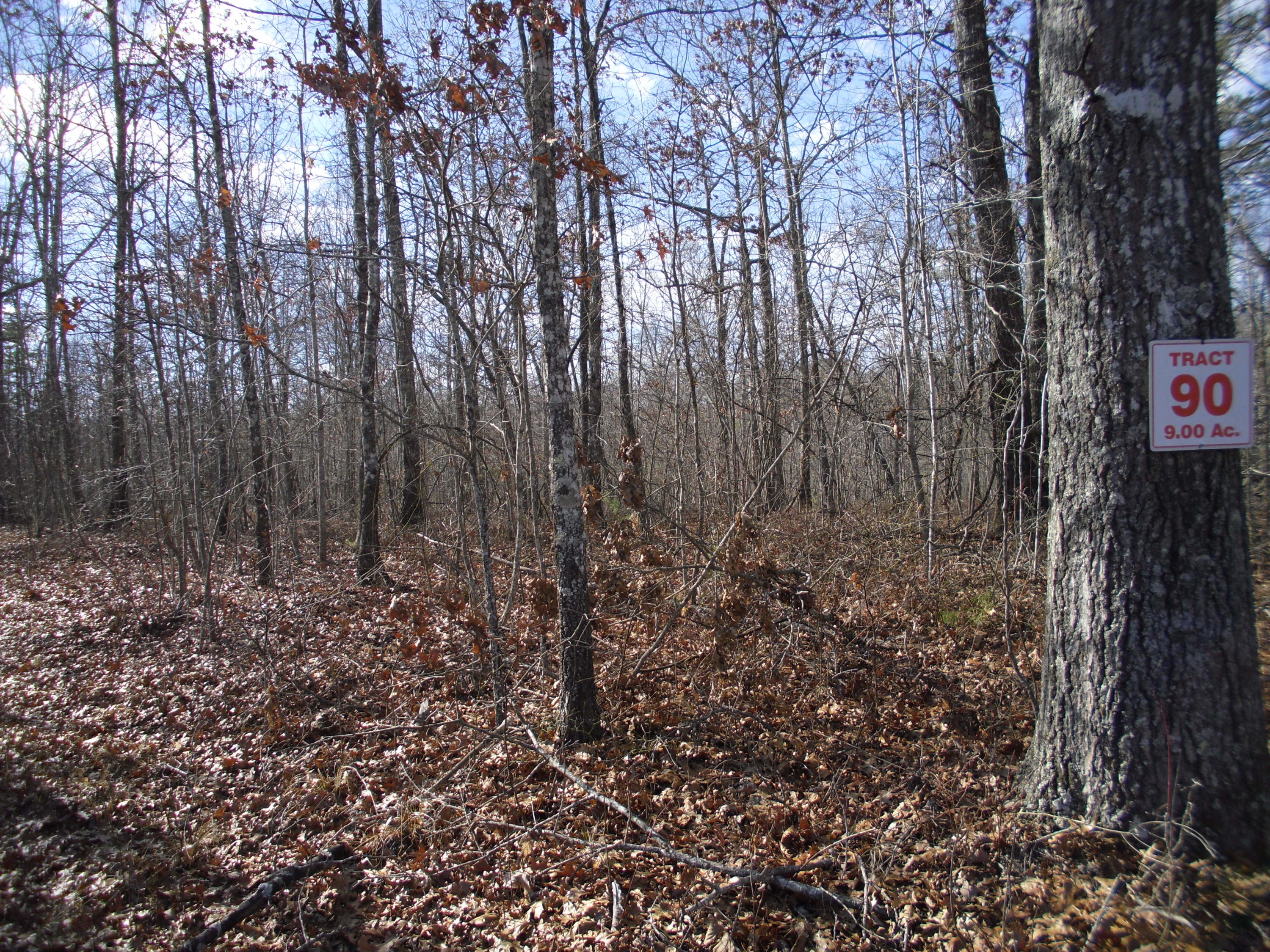 Bluebird Ridge Road Road Jamestown, TN 38556 - Photo 5 of 5 SAM_1788