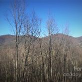a view of a backyard of the house