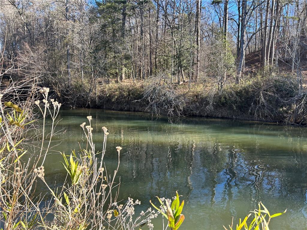 0 Twin River Orchard Road Demorest, GA 30535 - Photo 25 of 63