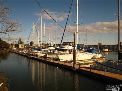 53 Point San Pedro Road San Rafael, CA 94901 - Photo 1 of 1 a view of a lake