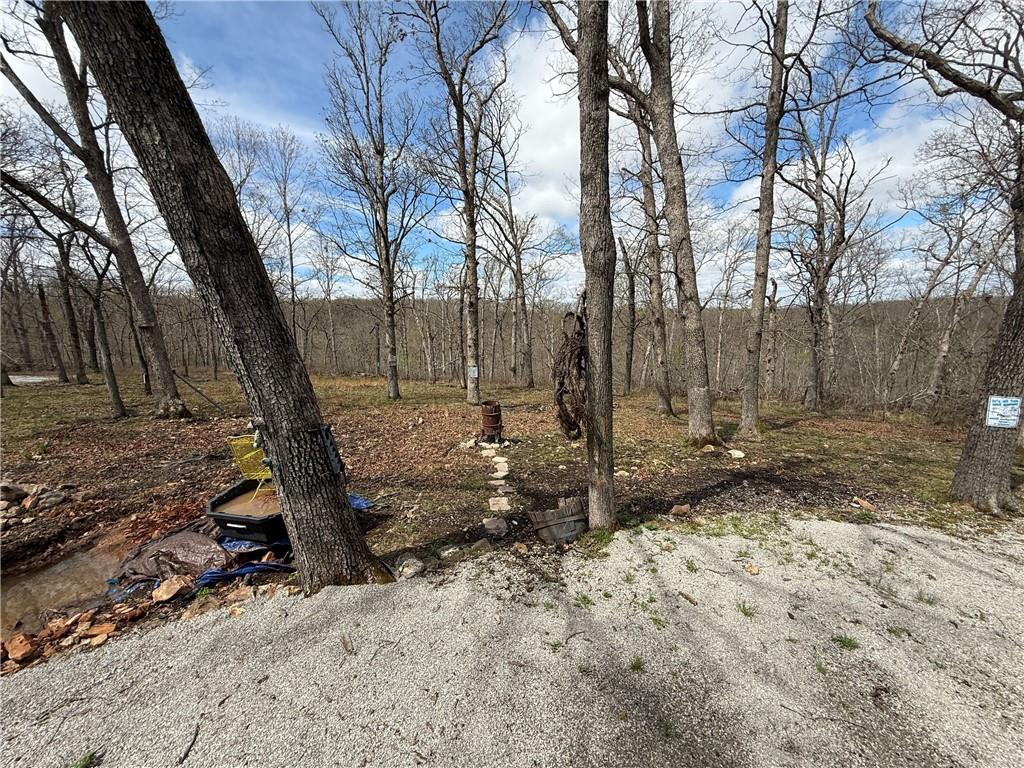991 Southeast 976 Road Deepwater, MO 64740 - Photo 42 of 79