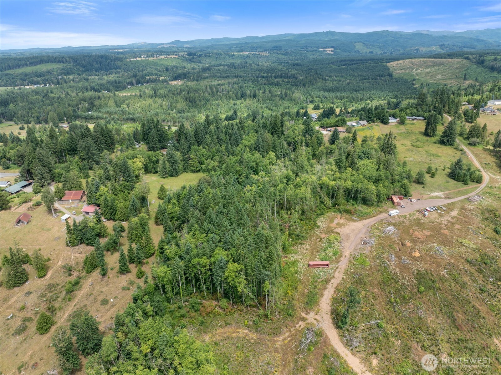 148 Burnt Ridge Road Onalaska, WA 98570 - Photo 4 of 11 a view of a lush green forest with trees and houses