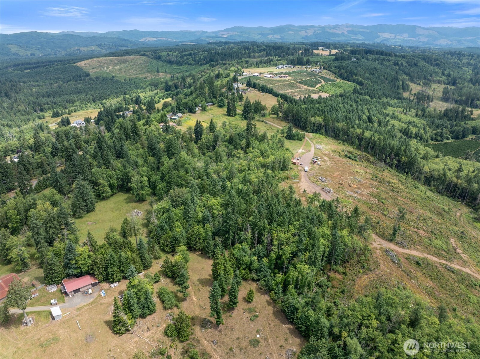 148 Burnt Ridge Road Onalaska, WA 98570 - Photo 5 of 11 an aerial view of residential houses with outdoor space and trees