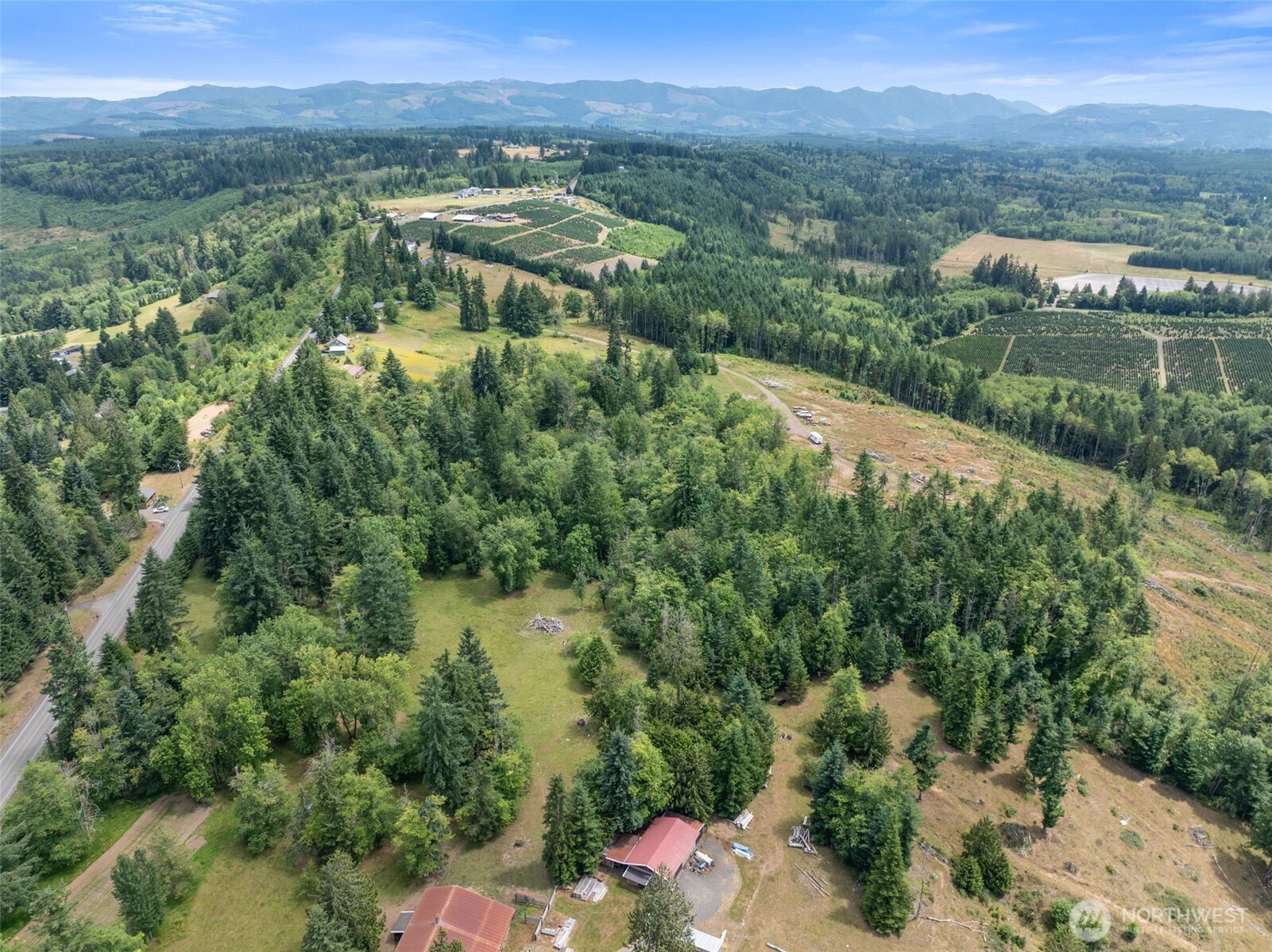 148 Burnt Ridge Road Onalaska, WA 98570 - Photo 6 of 11 an aerial view of green landscape with trees houses and mountain view