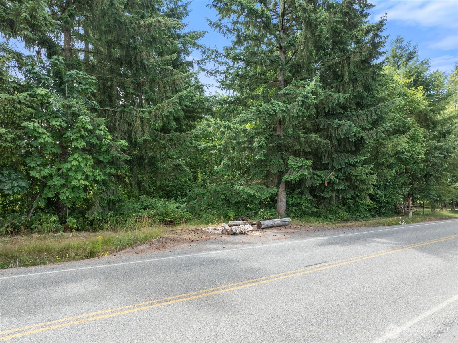 148 Burnt Ridge Road Onalaska, WA 98570 - Photo 10 of 11 a view of a car parked on the side of a road