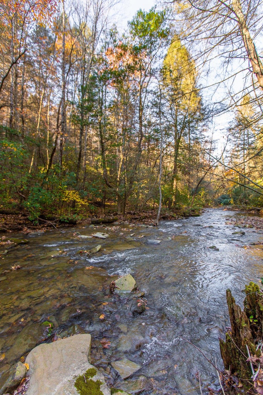 6401 Sawyer Road Signal Mountain, TN 37377 - Photo 4 of 60 Gallery Image 4
