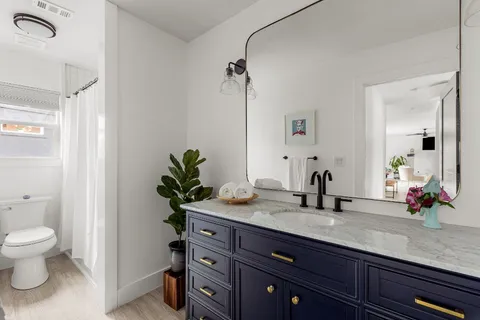 a bathroom with a granite countertop sink a potted plant and a mirror
