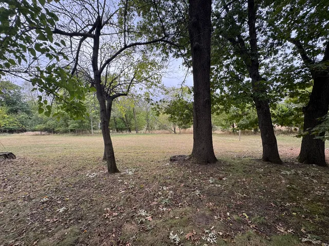 a view of a tree in the middle of a yard