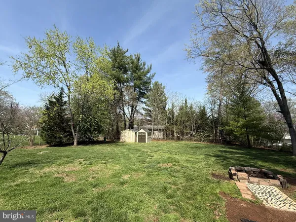 a view of a park with large trees