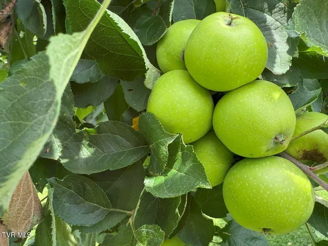 $2,024,700 | 3500 James Phillips Way, Sevierville, TN 37876