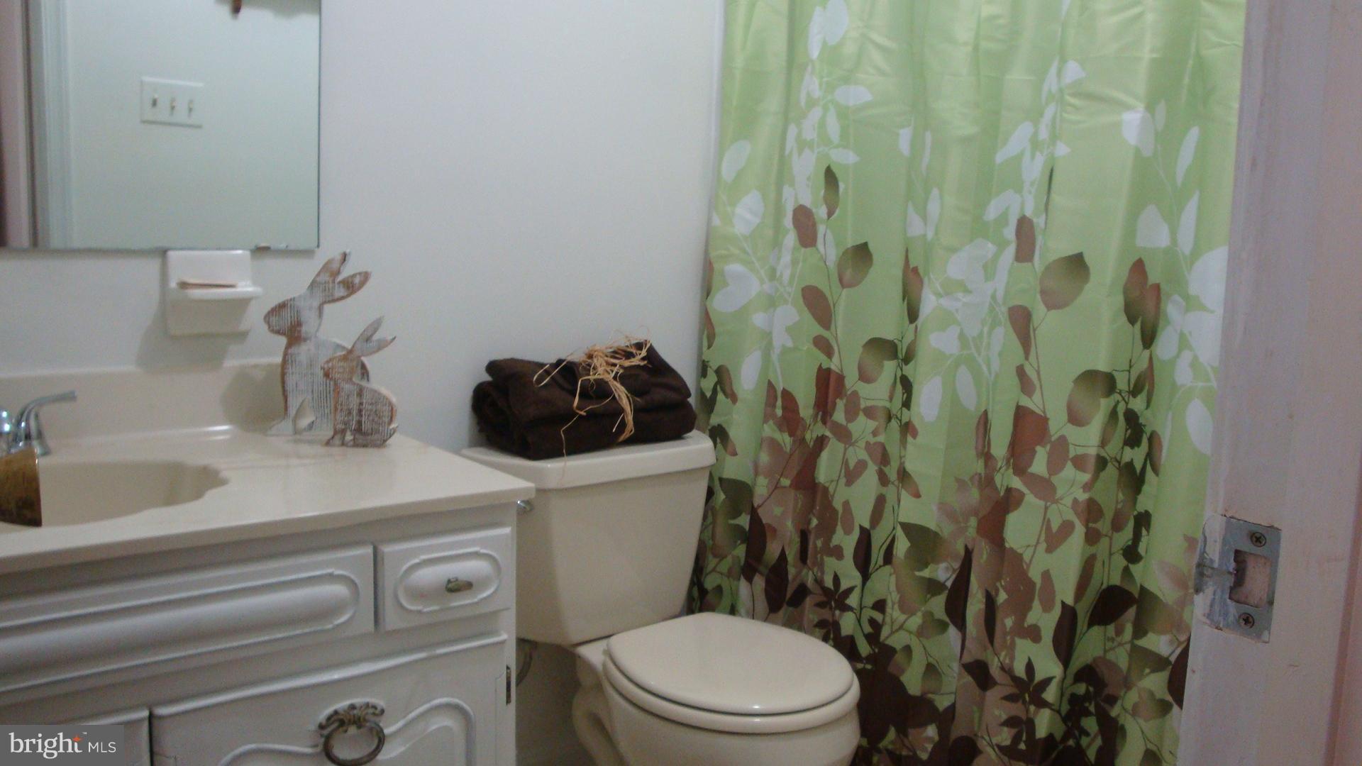 7804 Signal Hill Road Manassas, VA 20111 - Photo 20 of 26 Bath (Master)
