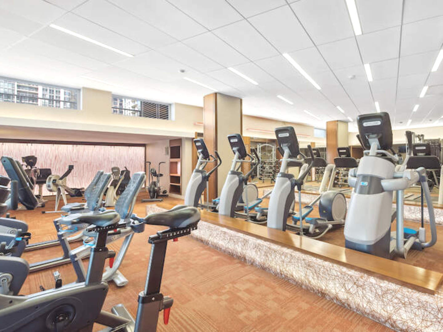 400 East Randolph Street, Unit 111920 Chicago, IL 60601 - Photo 54 of 61 a view of a room with gym equipment