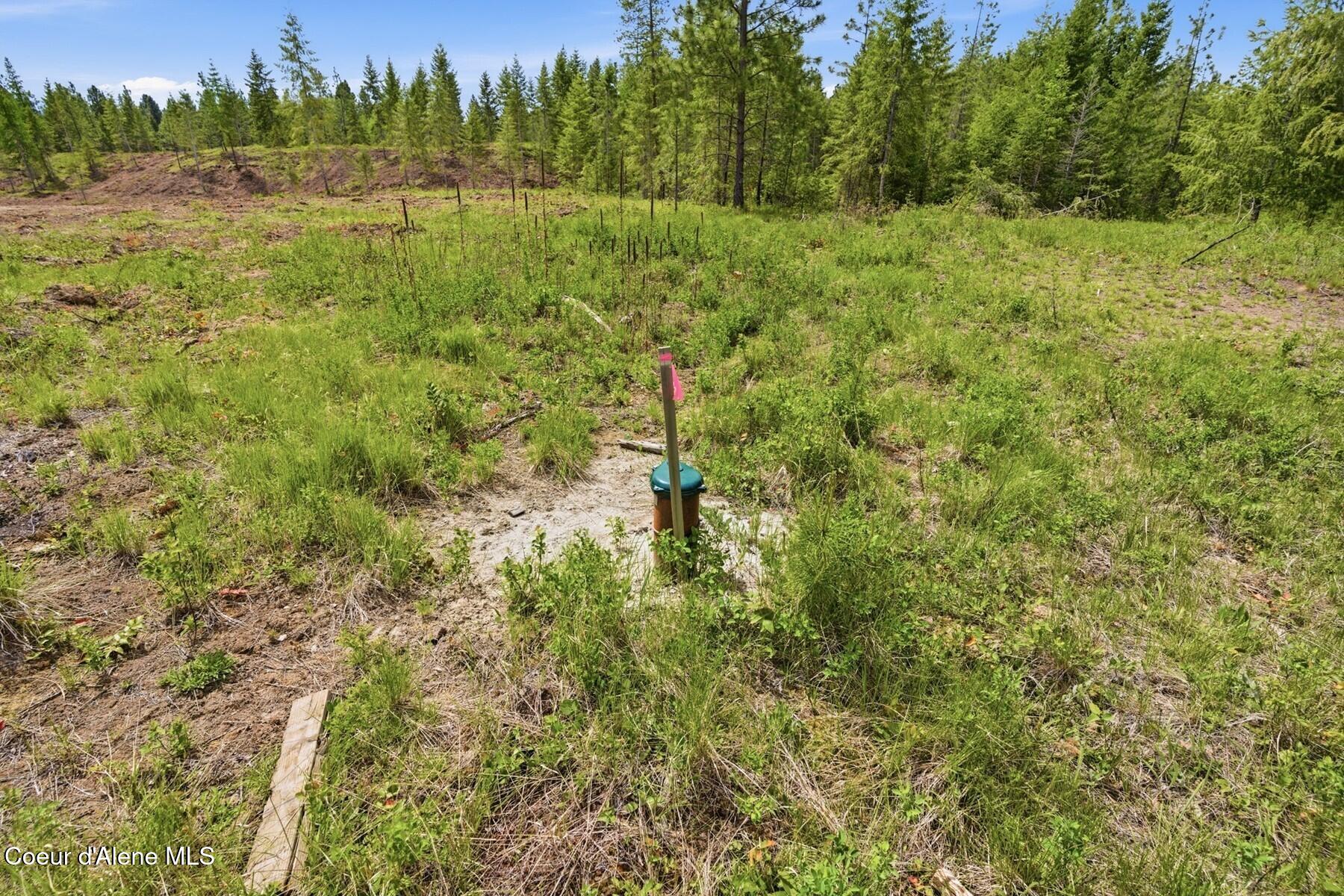 Lot 3 Poulton Way Bonners Ferry, ID 83805 - Photo 5 of 23 Amazing Well already in