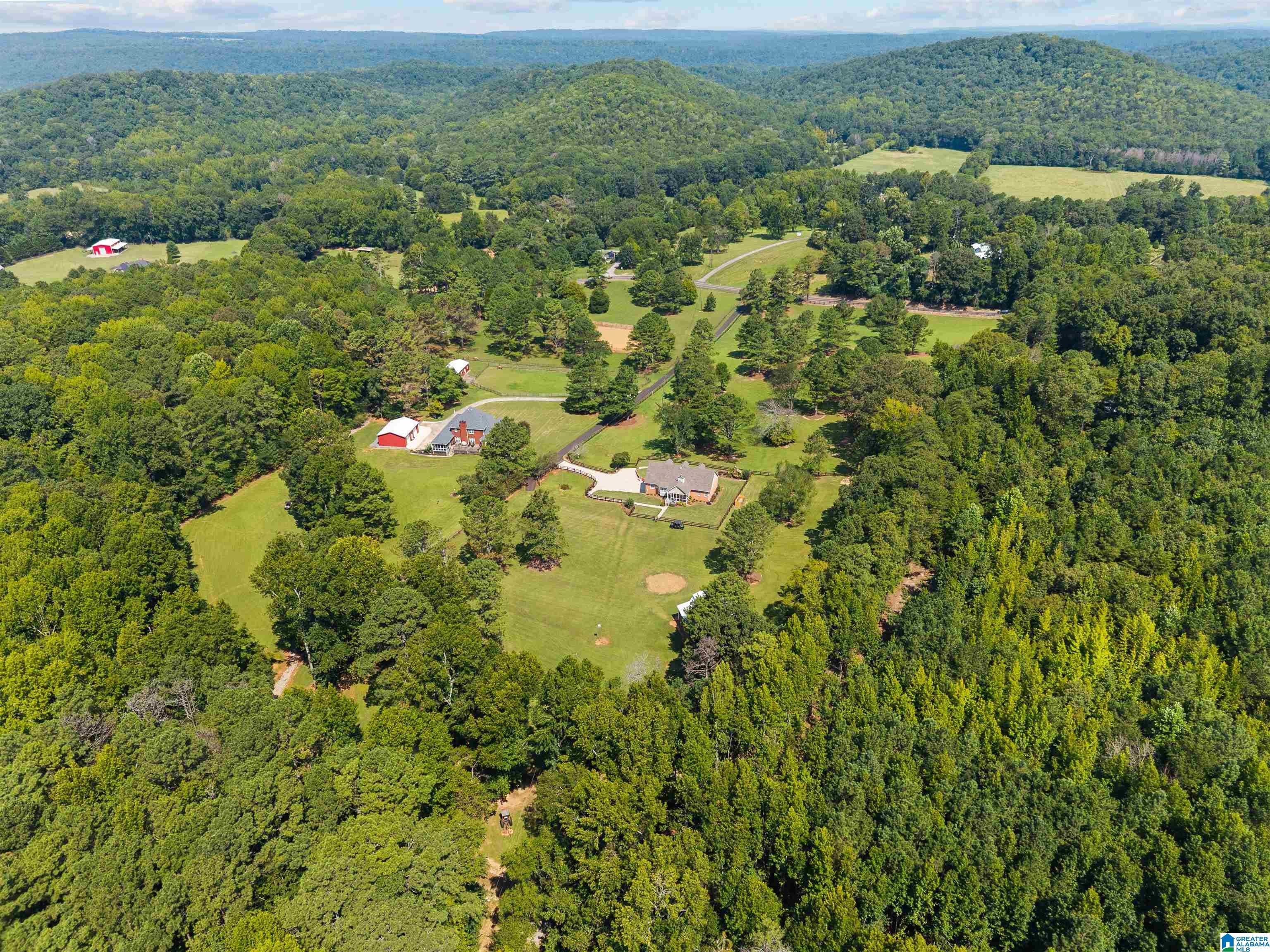 8401 Clayton Road Springville, AL 35146 - Photo 55 of 60 Gallery Image 55