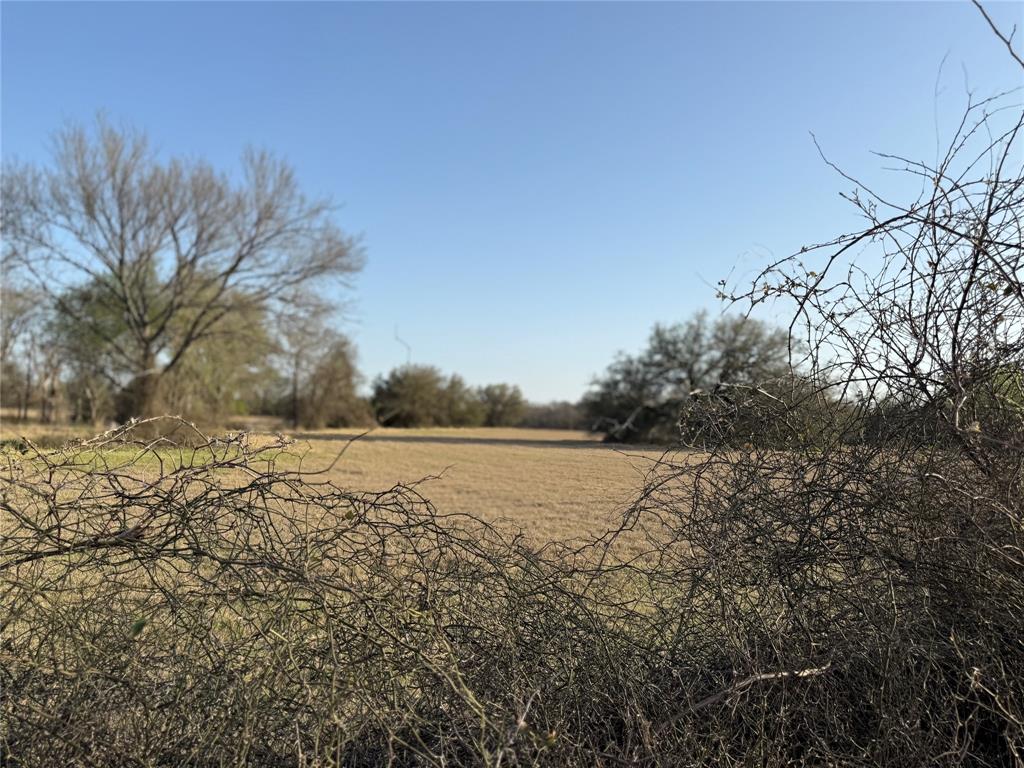 1540 County Road 2960 Kopperl, TX 76652 - Photo 17 of 31 a view of lake