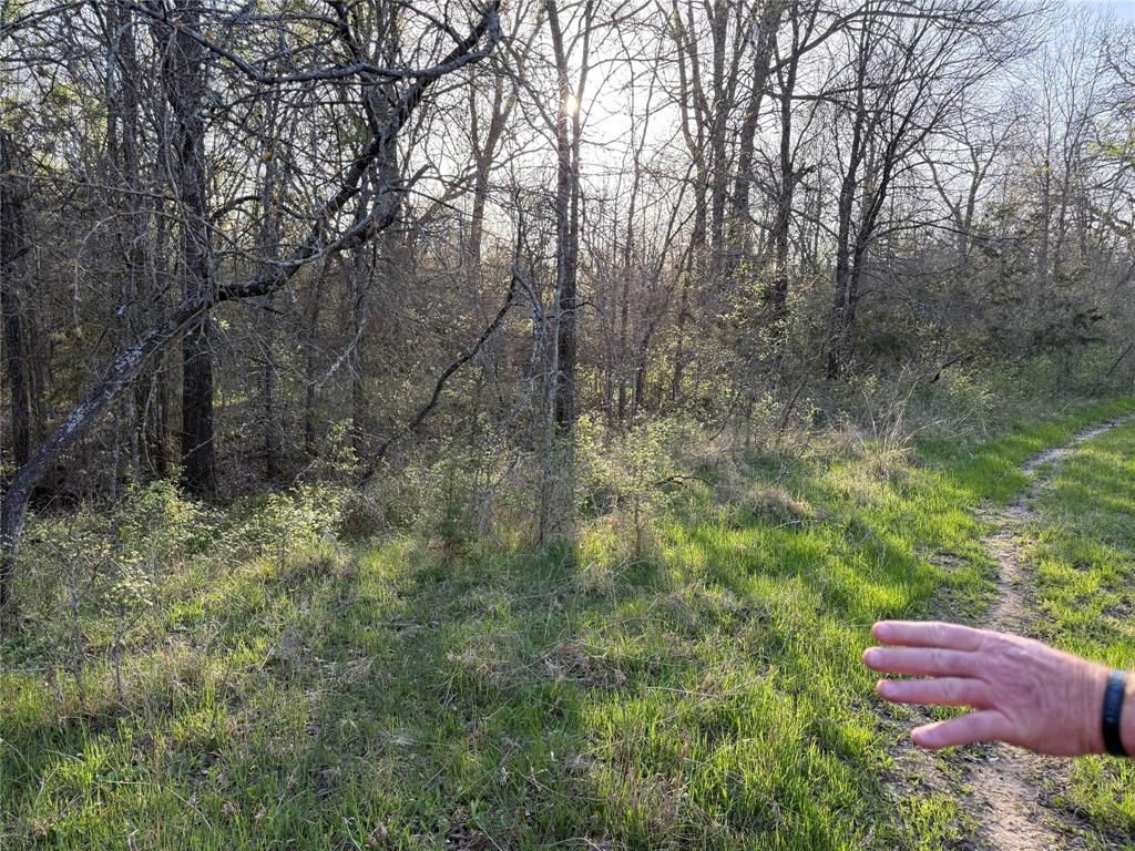 1540 County Road 2960 Kopperl, TX 76652 - Photo 23 of 31 a view of outdoor space and yard
