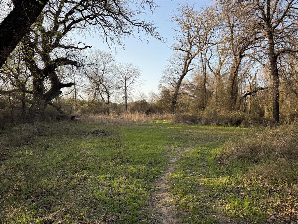 1540 County Road 2960 Kopperl, TX 76652 - Photo 24 of 31 a view of outdoor space and yard