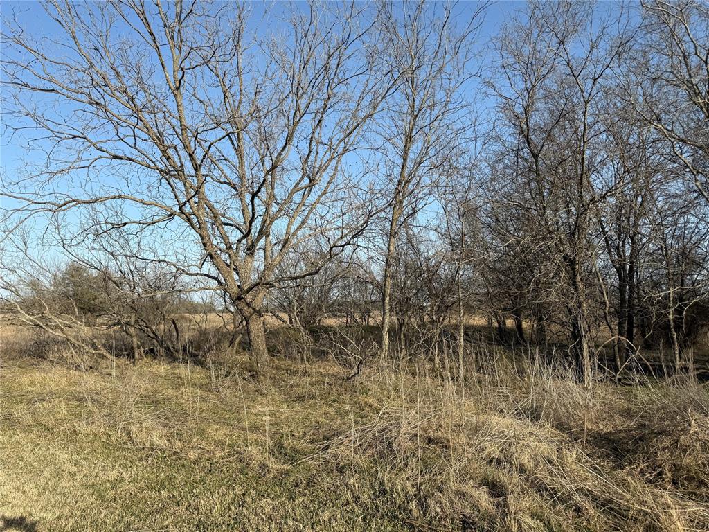 1540 County Road 2960 Kopperl, TX 76652 - Photo 3 of 31 a backyard of a house with lots of green space