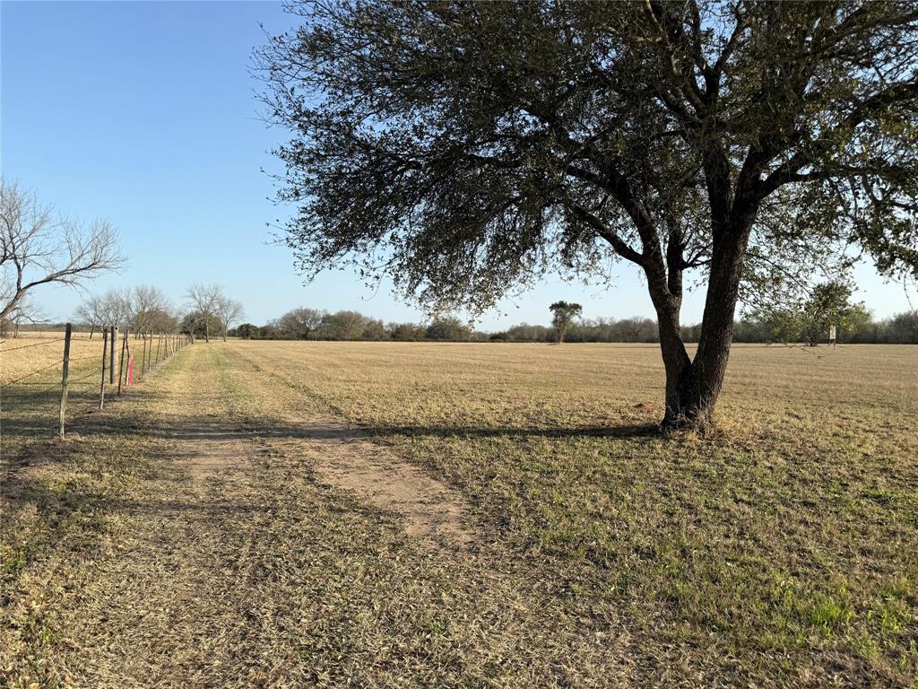 1540 County Road 2960 Kopperl, TX 76652 - Photo 5 of 31 a view of lake with outdoor space