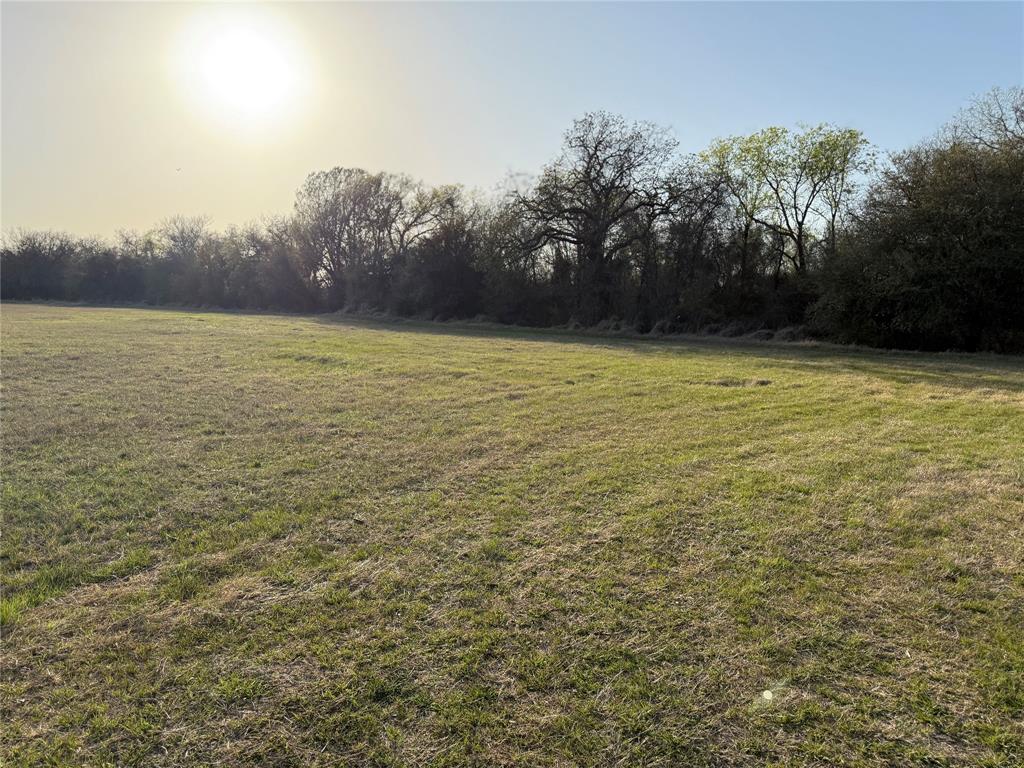 1540 County Road 2960 Kopperl, TX 76652 - Photo 6 of 31