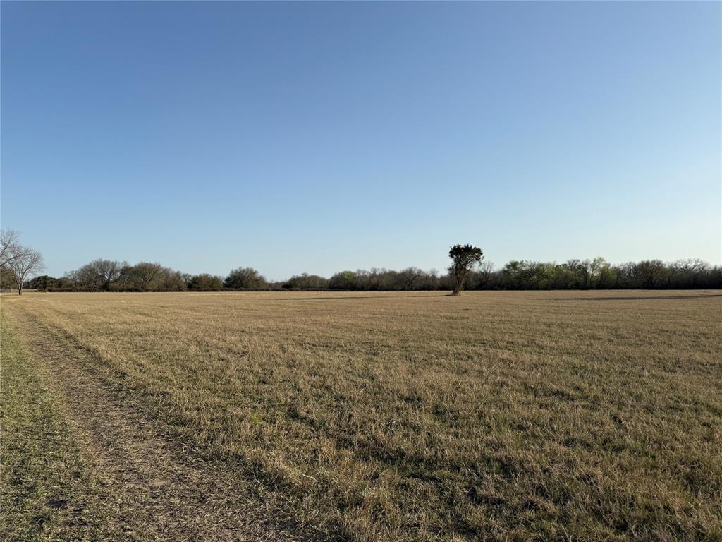 1540 County Road 2960 Kopperl, TX 76652 - Photo 8 of 31 a view of lake