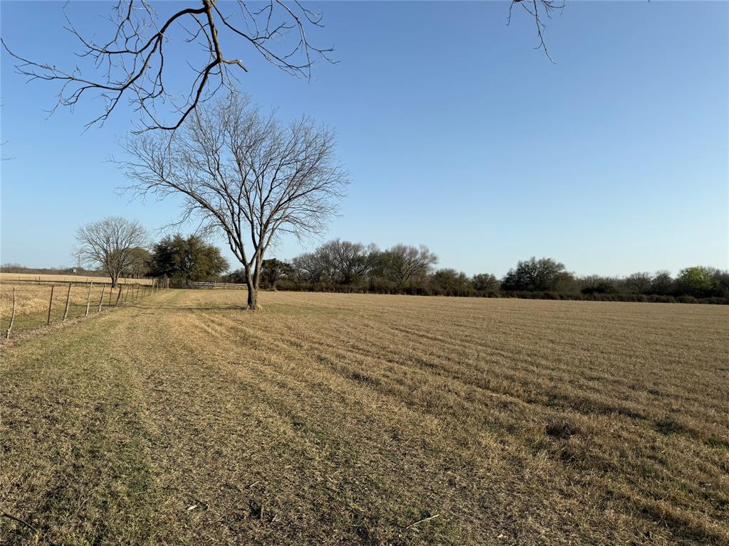 1540 County Road 2960 Kopperl, TX 76652 - Photo 10 of 31 a view of lake view